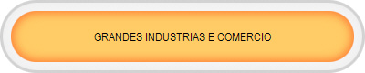 GRANDES INDUSTRIAS E COMERCIO